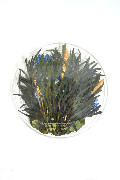 Plateau inclusion de fleurs