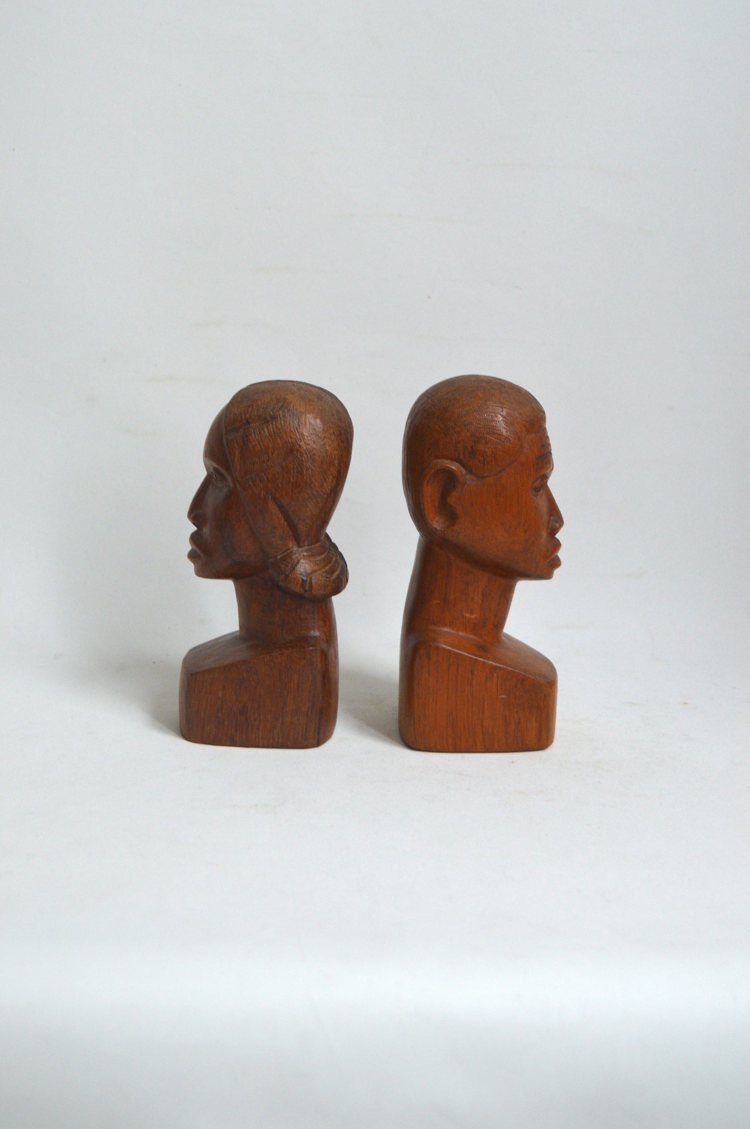 serre-livre-africain