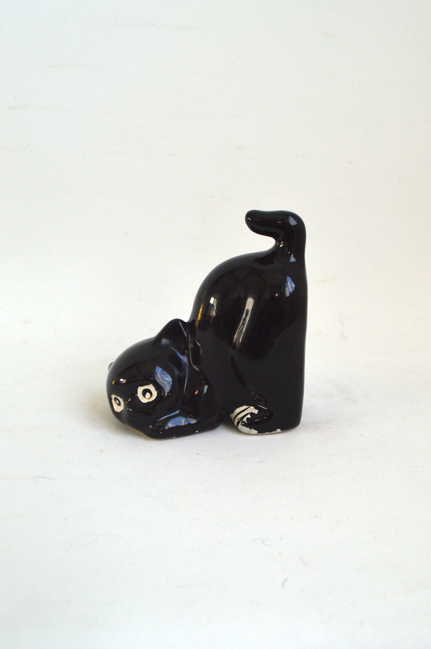 serre-livre-chat-noir