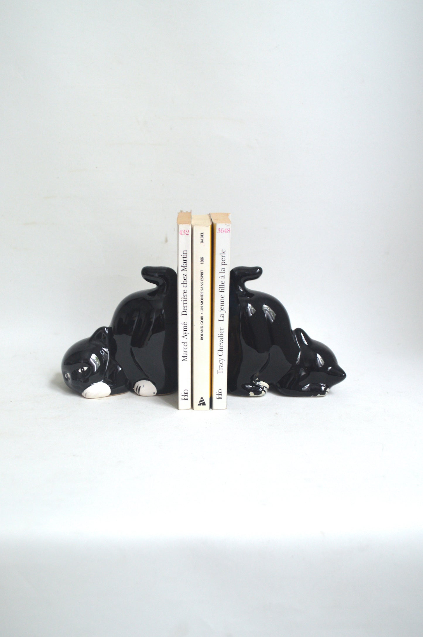 serre-livre-chat