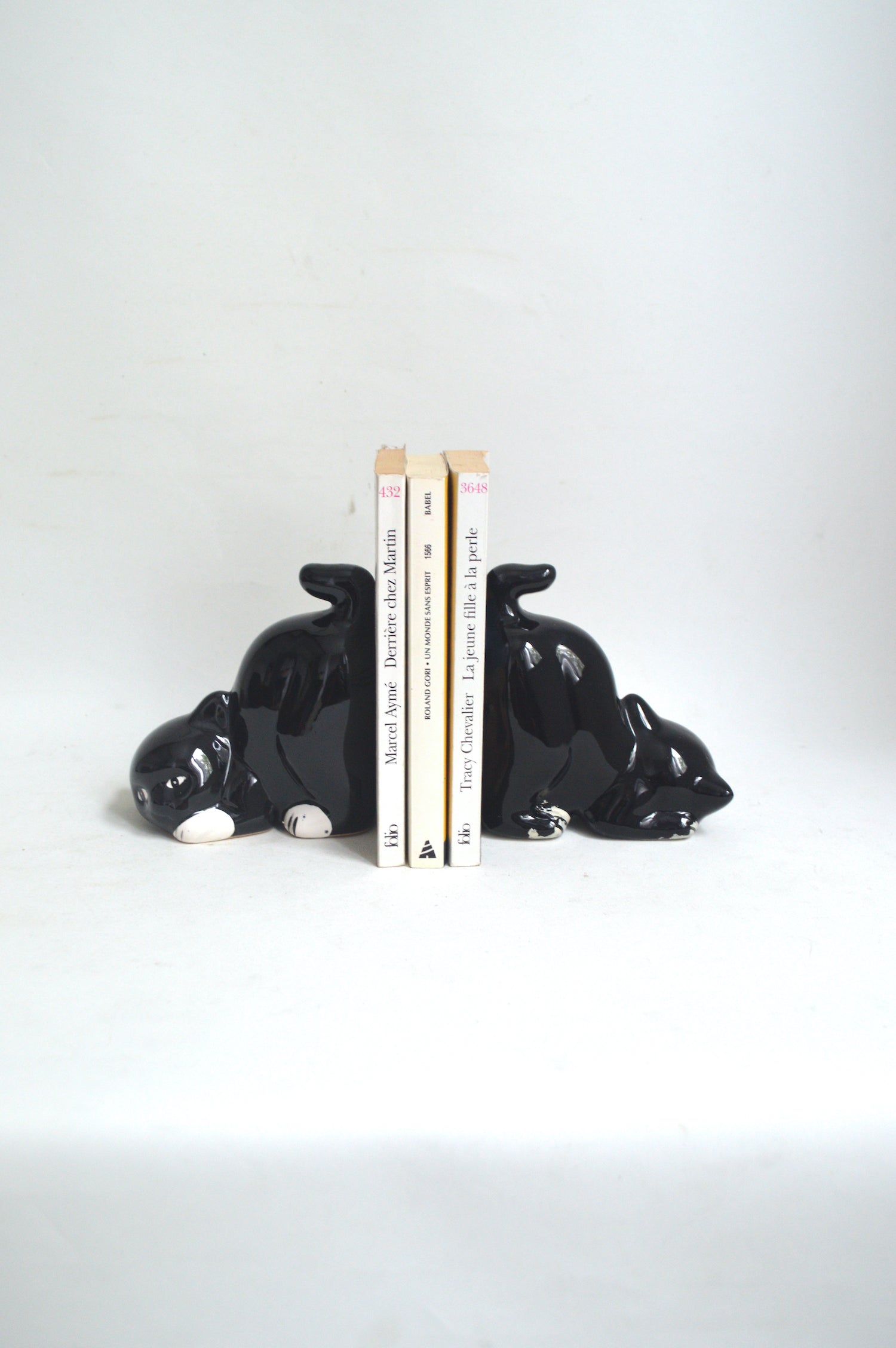 serre-livre-chat