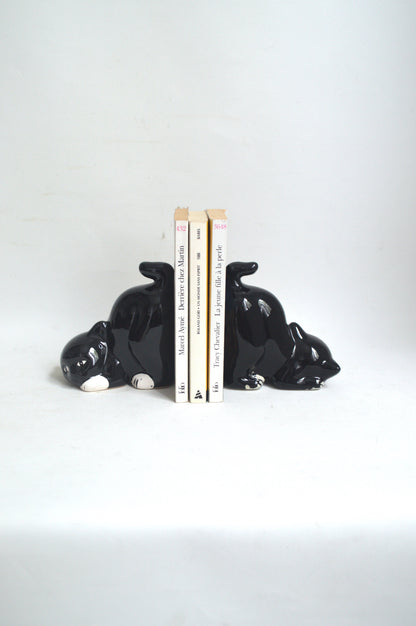 serre-livre-chat