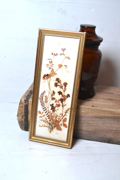 Cadre de fleurs séchées