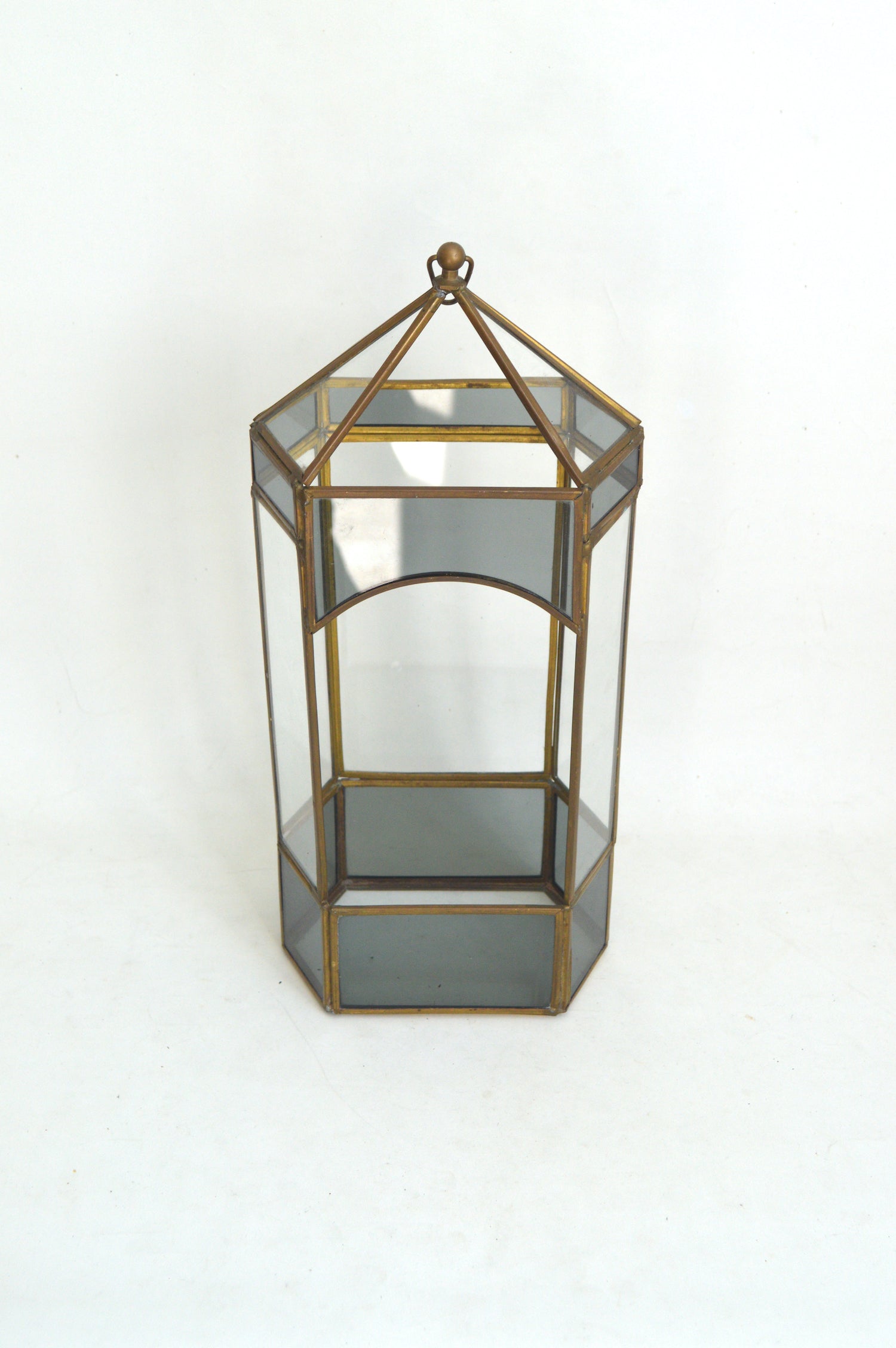 terrarium-en-laiton