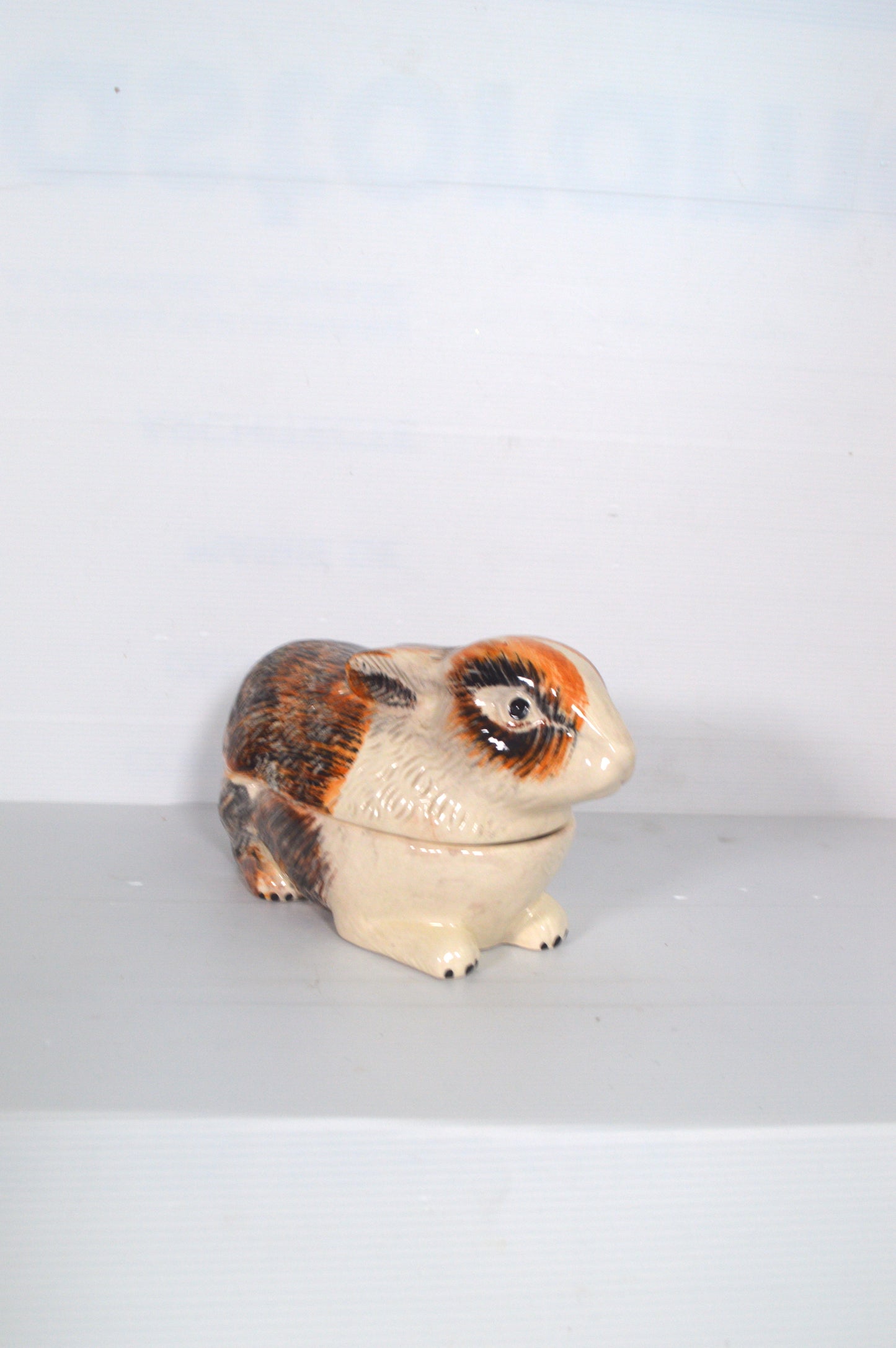 terrine-zoomorphe