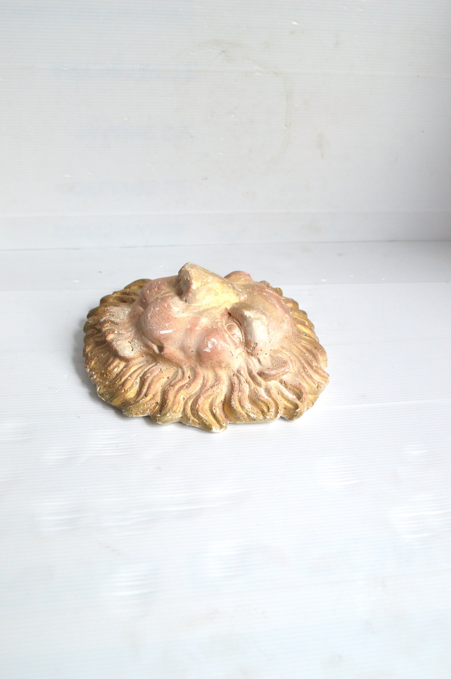 tete-de-lion-à-accrocher