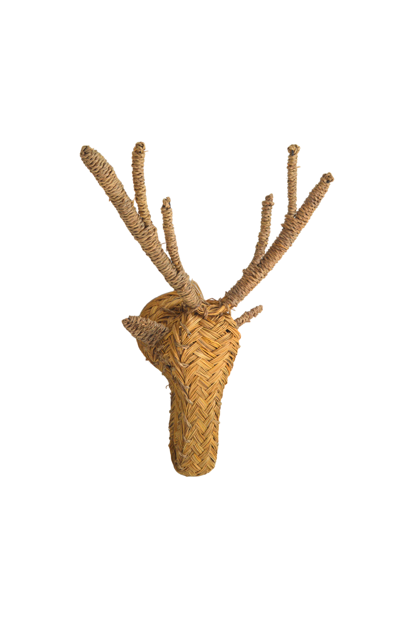 trophée-cerf