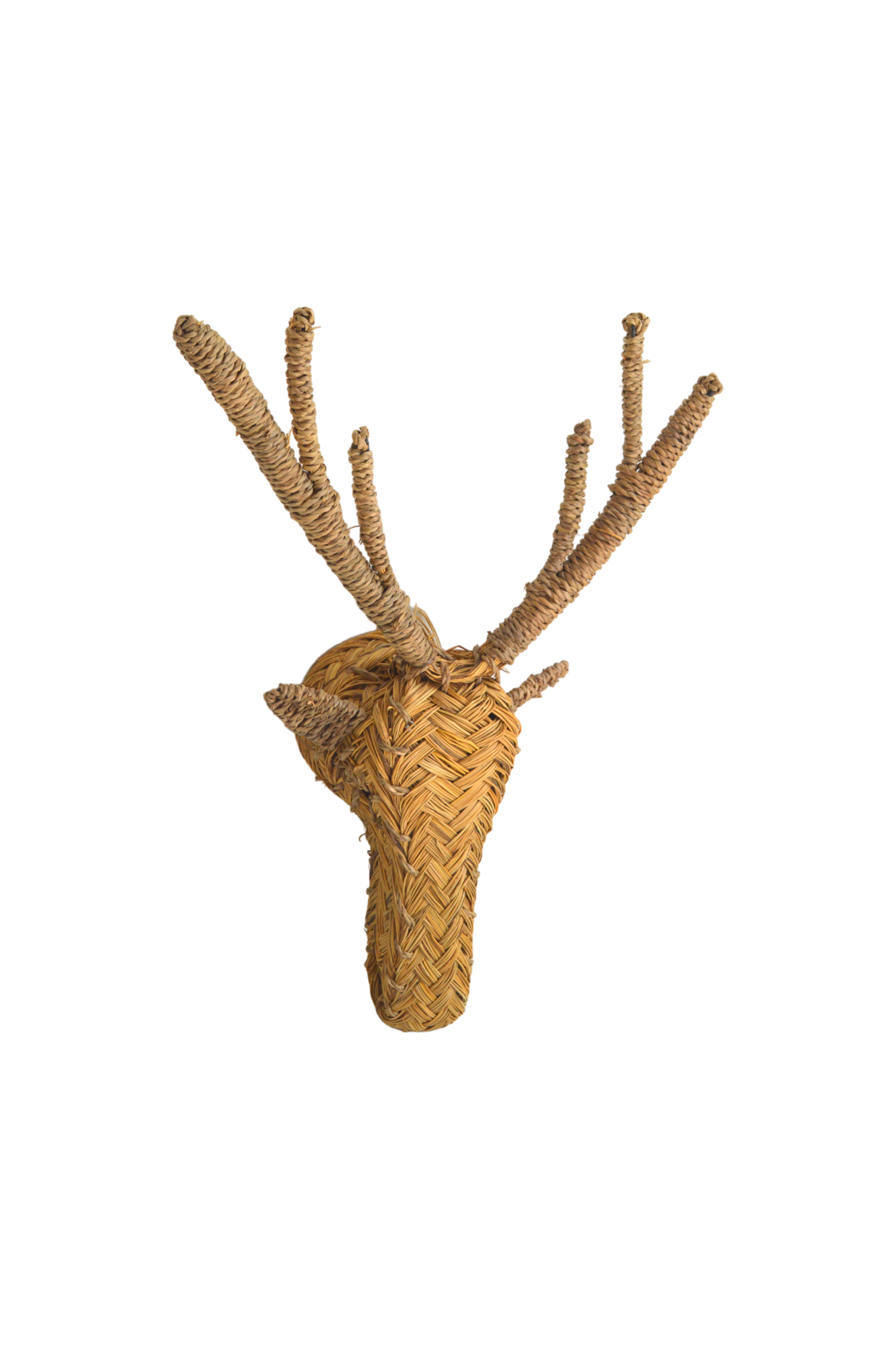 trophée-cerf