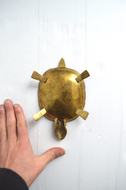 vide-poche-tortue