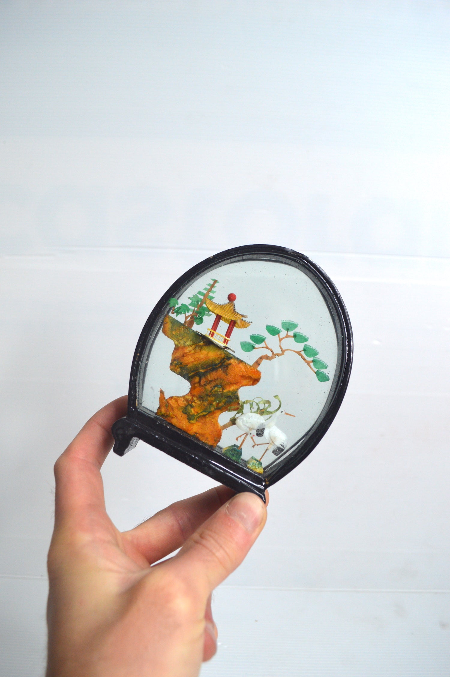 vitrine-asiatique