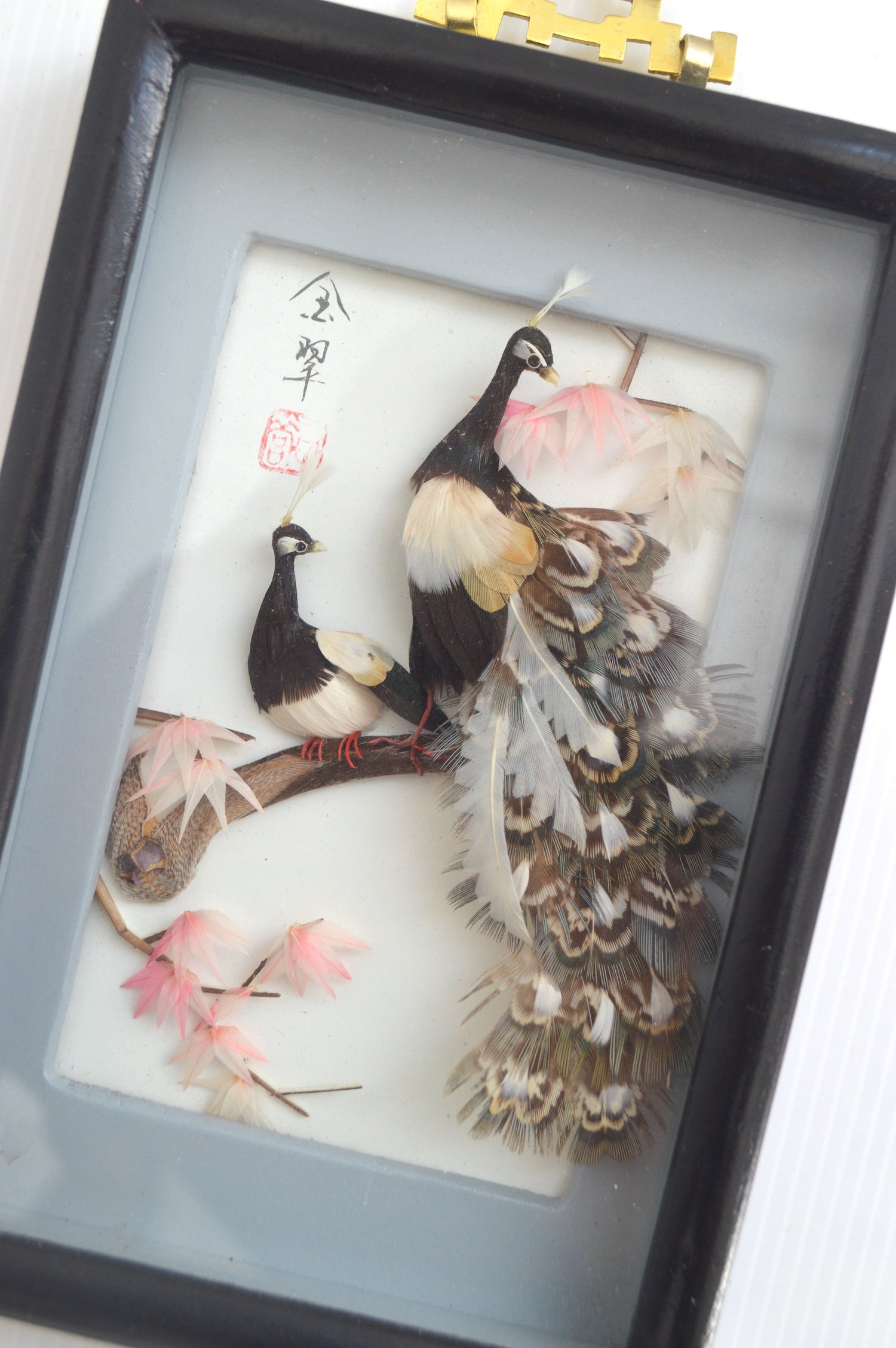 vitrine-asiatique