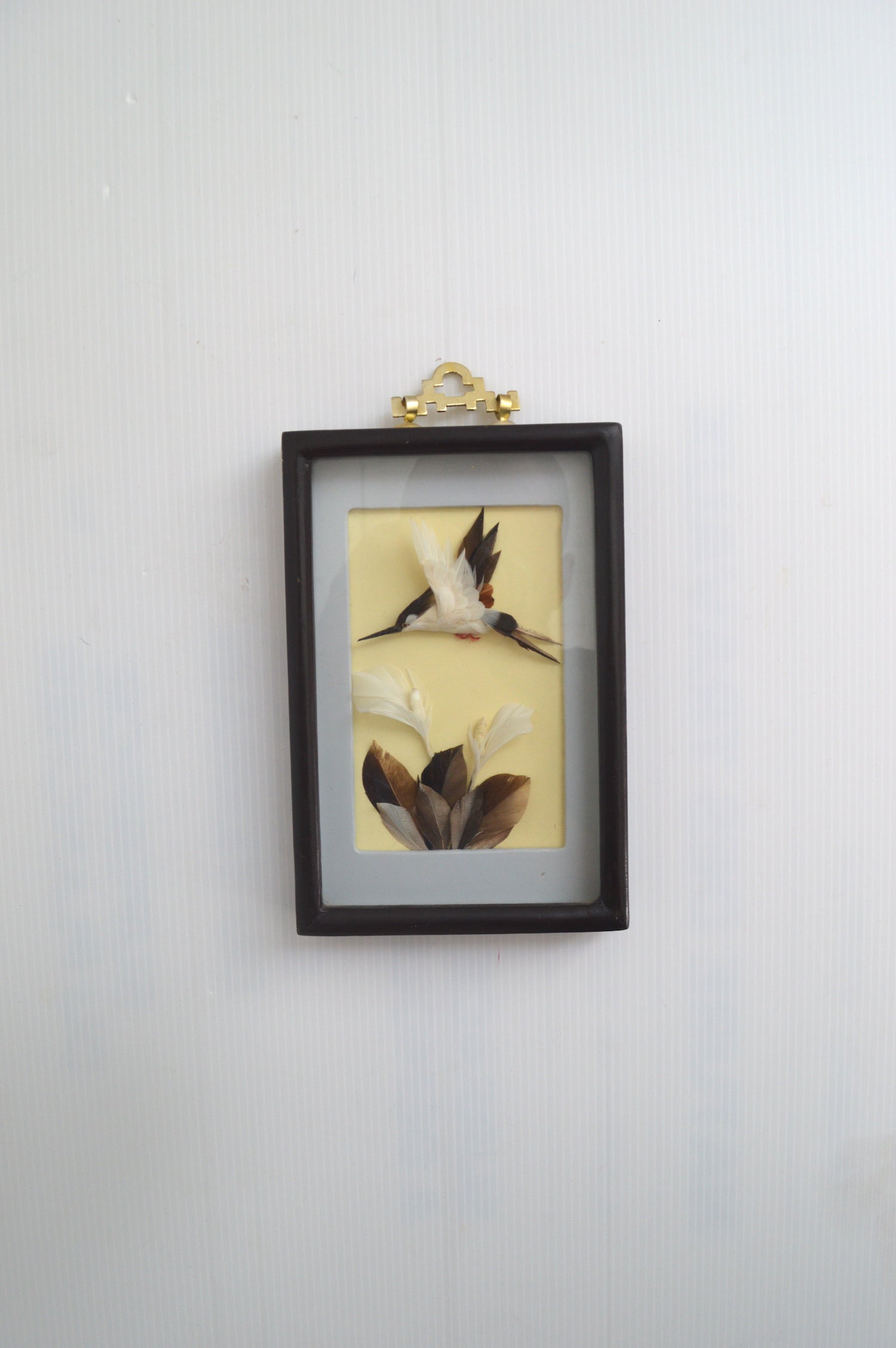 vitrine-en-plumes