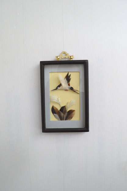vitrine-en-plumes