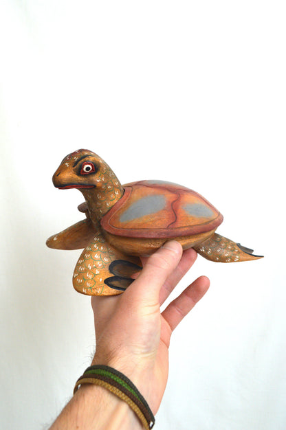 Boîte Tortue