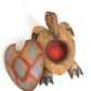 Boîte Tortue