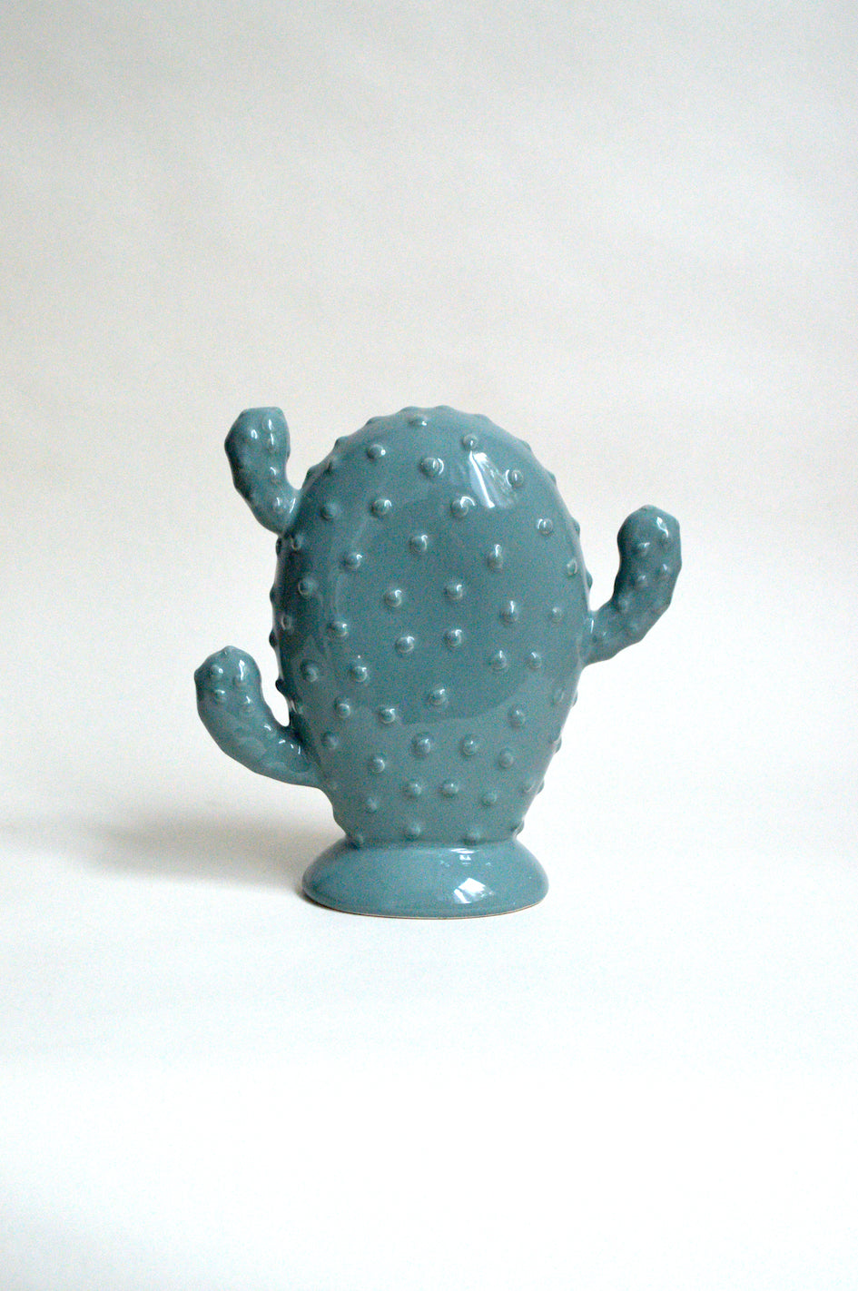 Cactus bleu