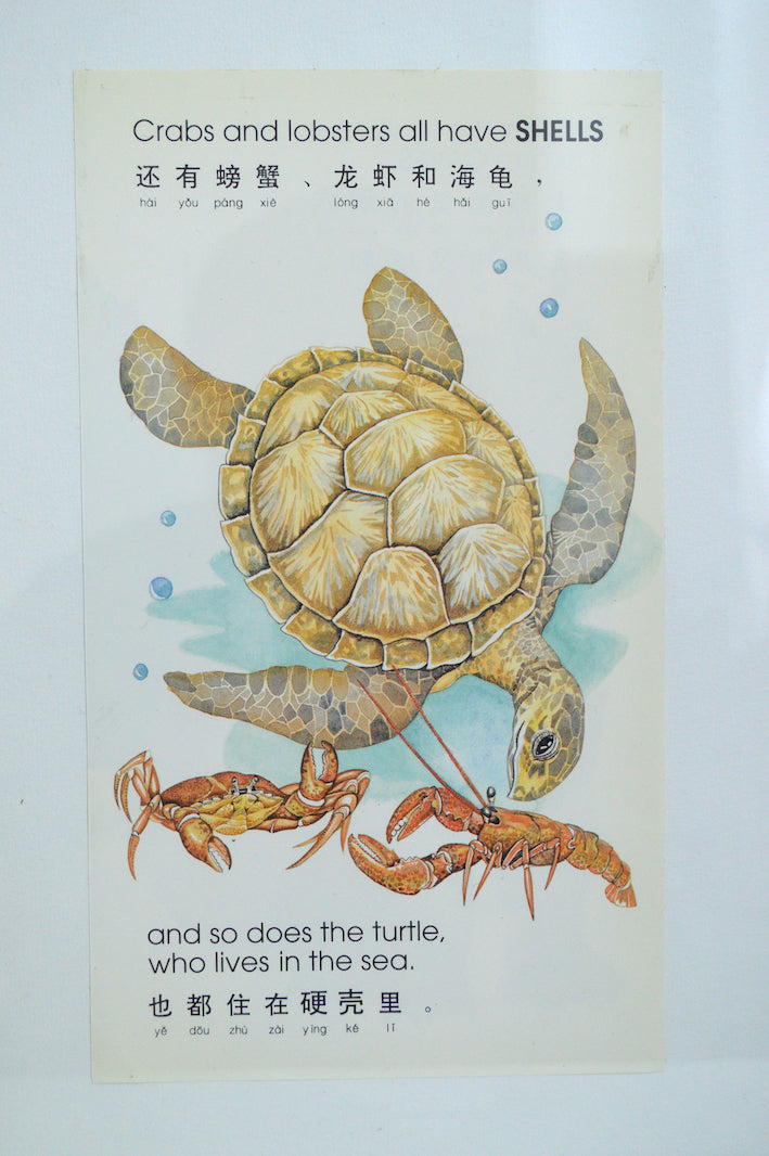 Cadre Asiatique Tortue, Crabe et Homard