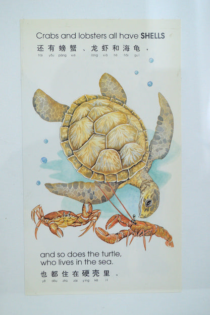 Cadre Asiatique Tortue, Crabe et Homard