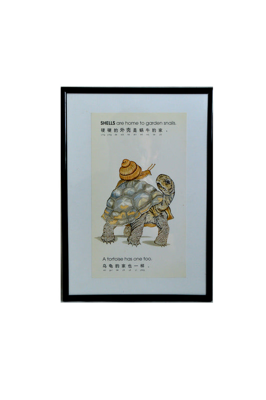 Cadre l'Escargot et la Tortue