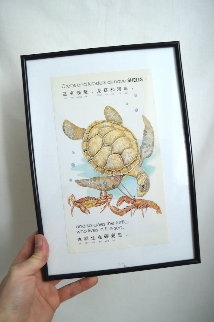 Cadre Asiatique Tortue, Crabe et Homard