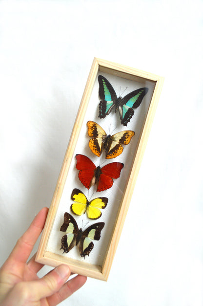 Cadre à 5 papillons