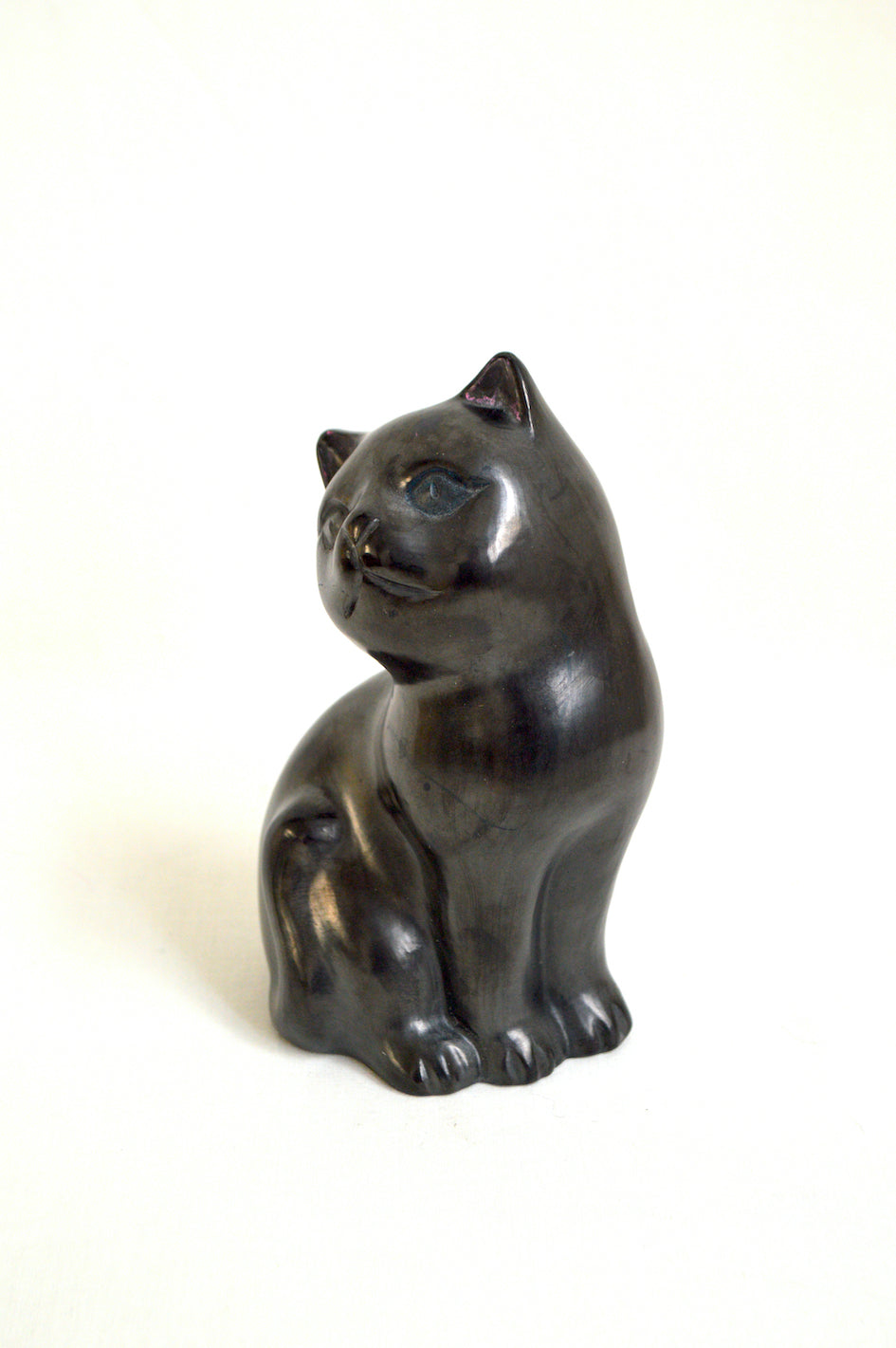 Chat gris