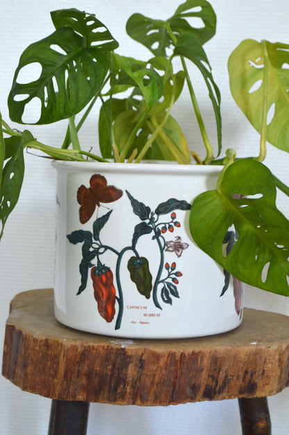 Cache-pot botanique