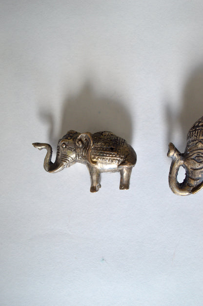 Duo d'éléphants indiens
