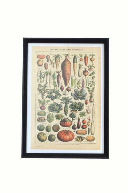Lithographie sur les légumes