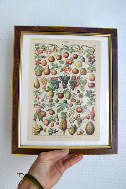 Lithographie sur les fruits