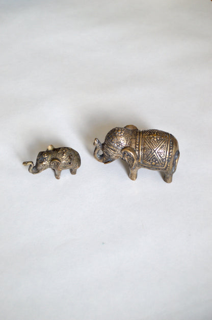 Duo d'éléphants indiens