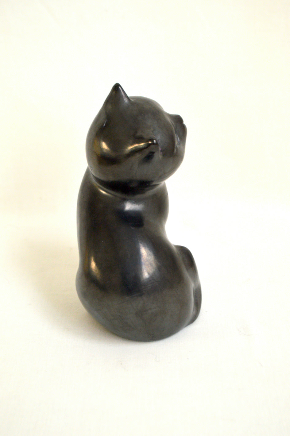 Chat gris